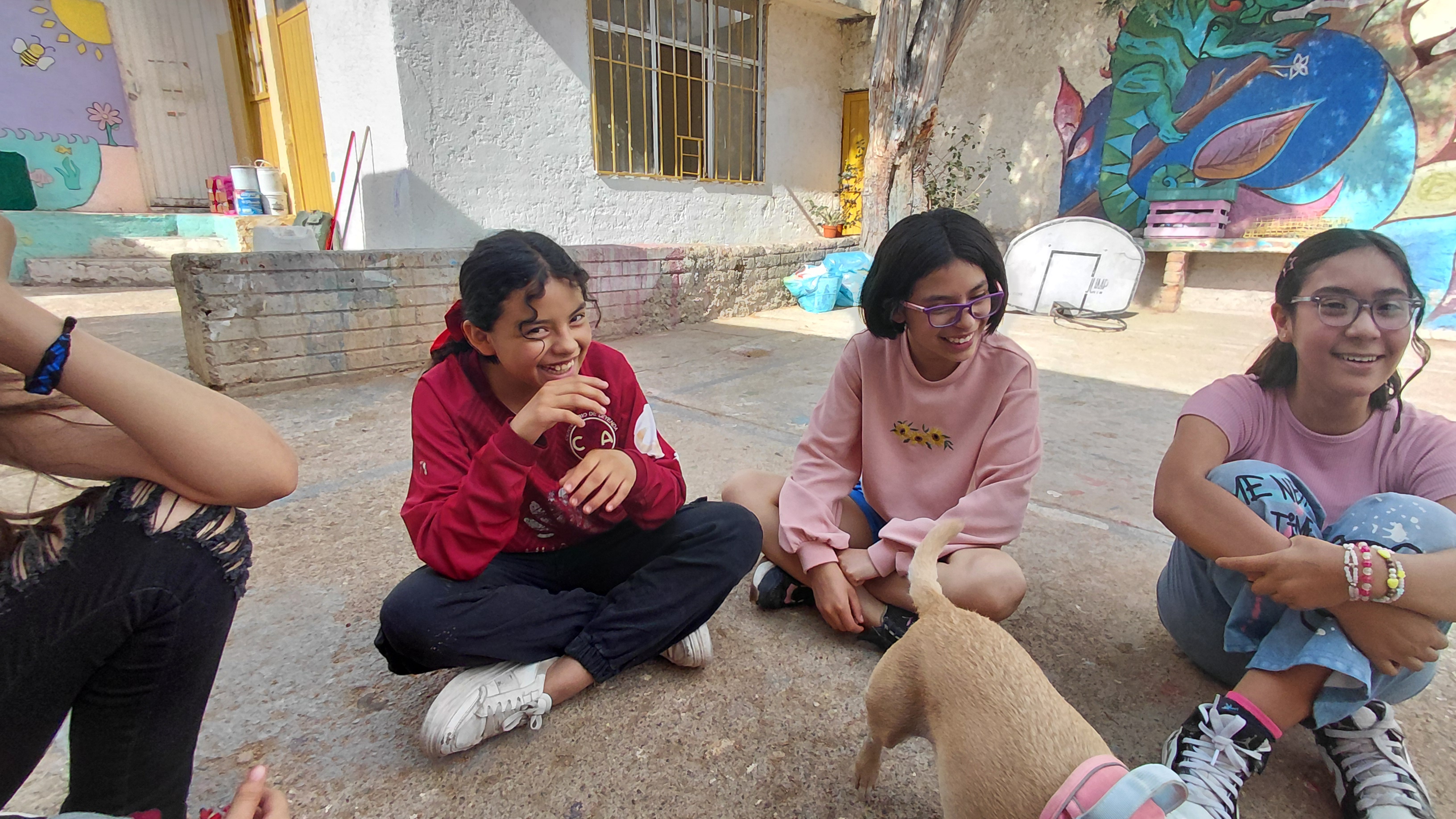 Huella Comunitaria de Paz por los Animales