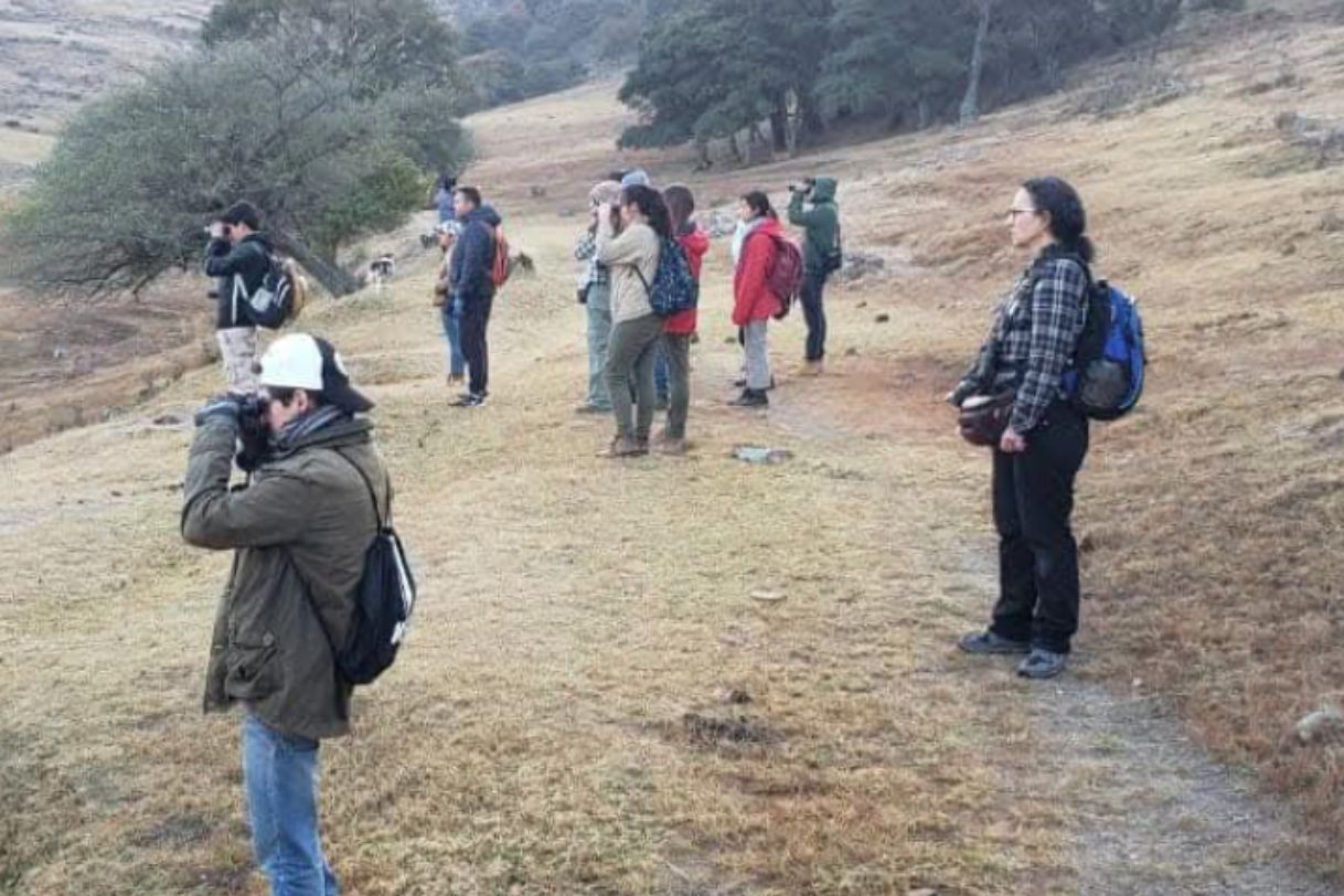 Actividad Cultural Comunitaria: Laboratorio vivo: recorridos de avistamiento de aves con Zanates