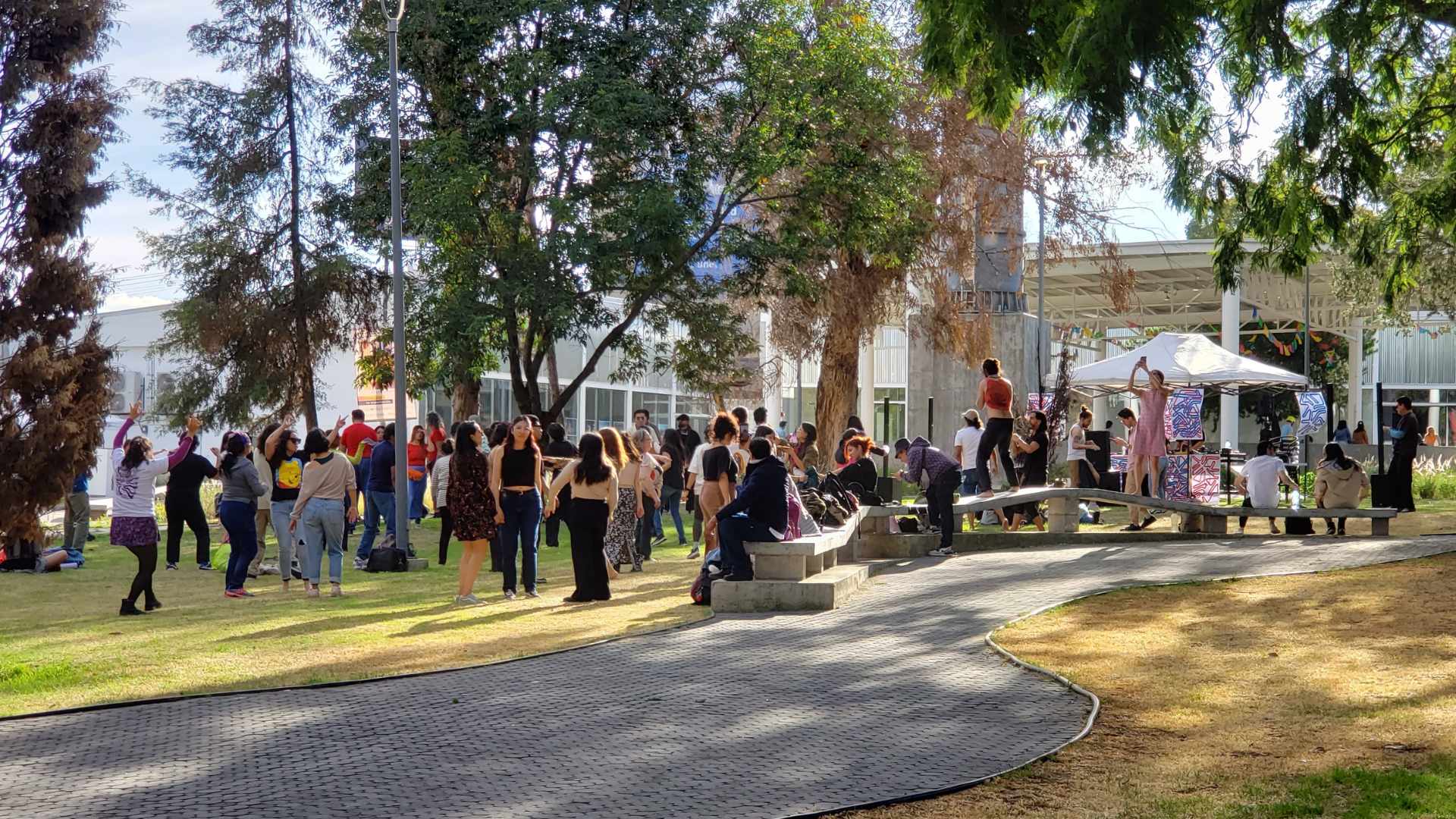 Jornada Cultural de Primavera