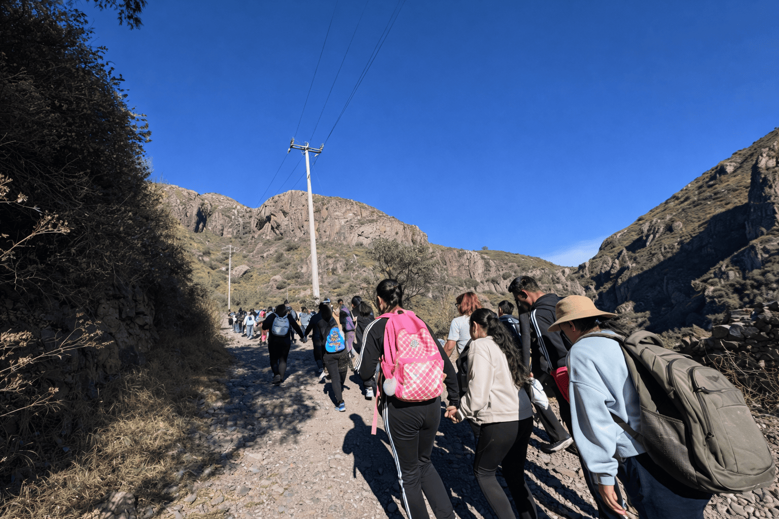 Actividad Cultural Comunitaria: 8M Curanderas del territorio: exploradoras del saber