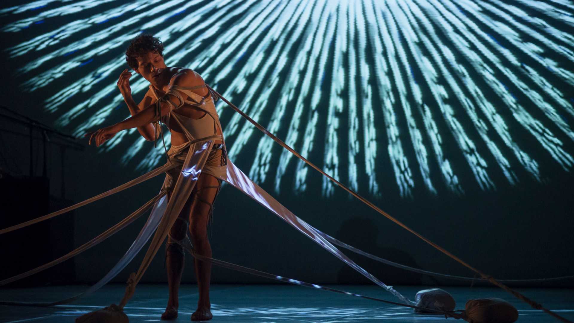 Seminario el cuerpo expandido