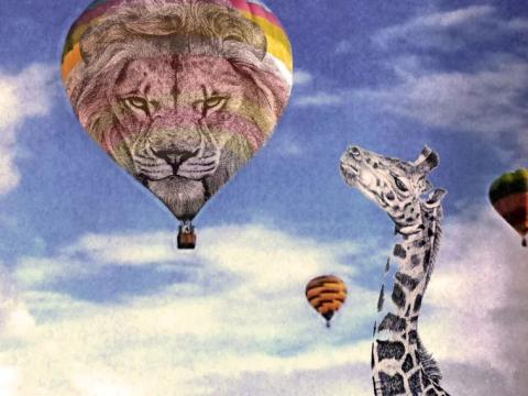 Semillero Creativo de Fotografía